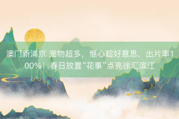 澳门新浦京 宠物超多，惬心超好意思，出片率100%！春日放置“花事”点亮徐汇滨江