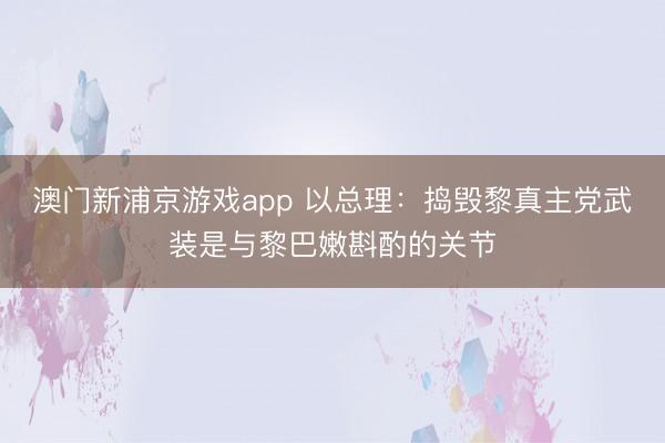 澳门新浦京游戏app 以总理：捣毁黎真主党武装是与黎巴嫩斟酌的关节
