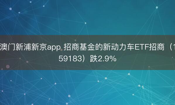 澳门新浦新京app 招商基金的新动力车ETF招商(159183)跌2.9%