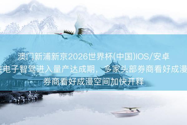 澳门新浦新京2026世界杯(中国)IOS/安卓官方下载 均胜电子智驾进入量产达成期，多家头部券商看好成漫空间加快开释