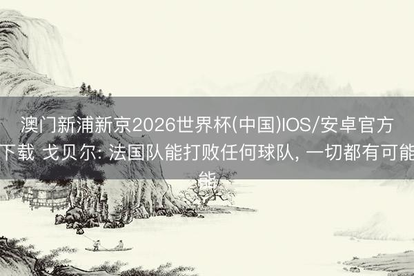 澳门新浦新京2026世界杯(中国)IOS/安卓官方下载 戈贝尔: 法国队能打败任何球队, 一切都有可能