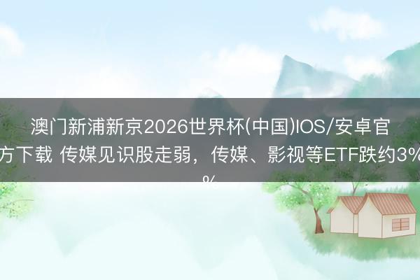 澳门新浦新京2026世界杯(中国)IOS/安卓官方下载 传媒见识股走弱，传媒、影视等ETF跌约3%