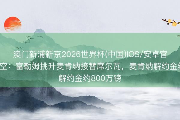 澳门新浦新京2026世界杯(中国)IOS/安卓官方下载 太空：富勒姆挑升麦肯纳接替席尔瓦，麦肯纳解约金约800万镑