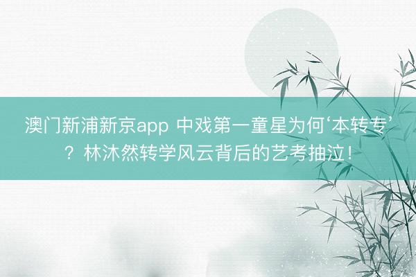 澳门新浦新京app 中戏第一童星为何‘本转专’?林沐然转学风云背后的艺考抽泣!